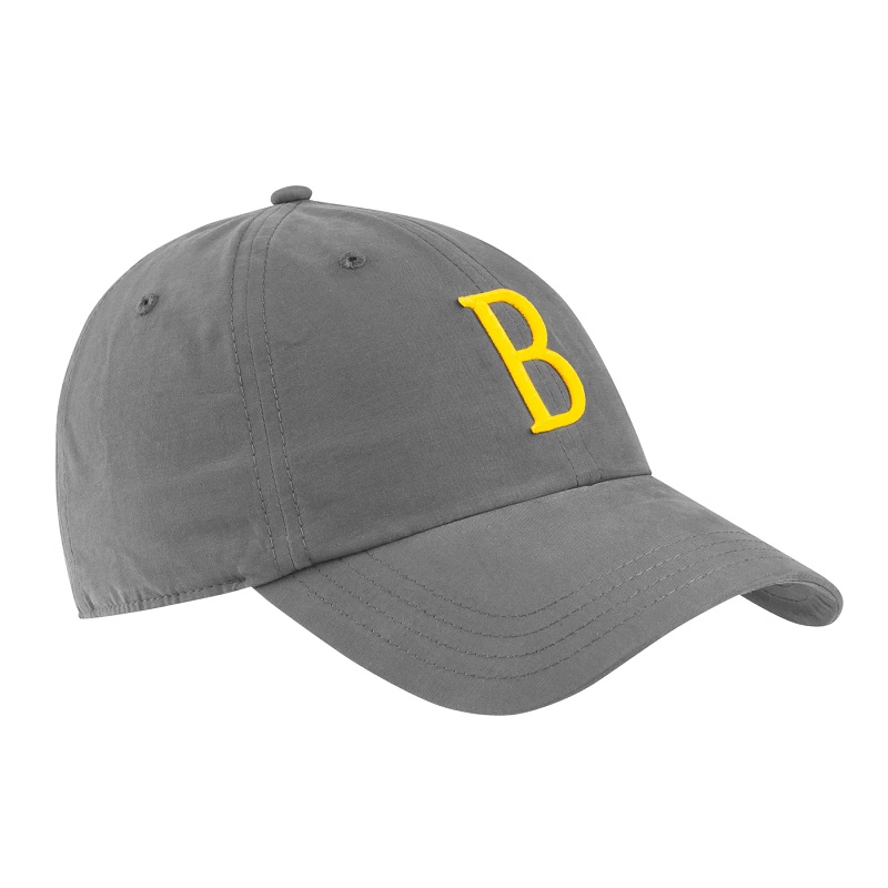 Big B cap - Grey &amp; Sulphur Spring