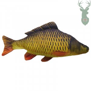 Plush carp