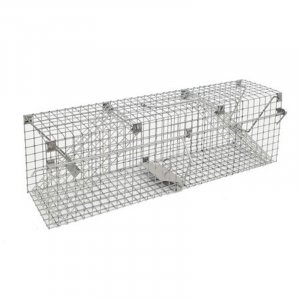 Trap for catching rats and weasels