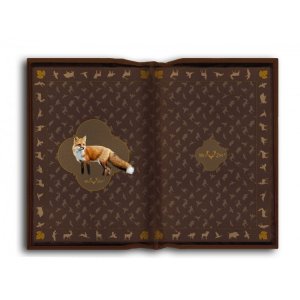 Wild Zone - Forest seat cushion - FOX