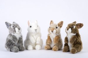 Plush rabbit, different colours