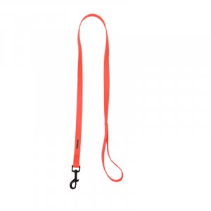 2wolfs DINGO 120 - Leash