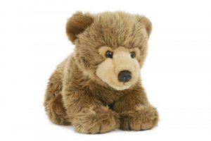 Teddy bear