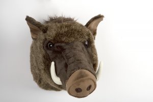 Trophy plush head of wild boar