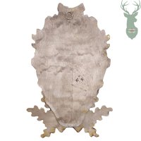 Trophy mat - Deer 57cm - dark