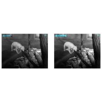 Night Pearl FOX 35 ELITE thermal imaging sight