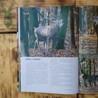 Book IN SLOVAK REVIEWS