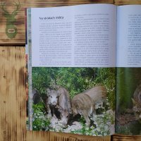 Book IN SLOVAK REVIEWS