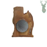 Thermometer with magnet