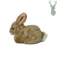 Plush hare II