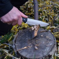 BPSKnives Raven SSH knife