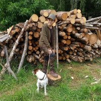 C.I.T - Children's sweater with zip Deer