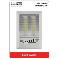 LED night dimmable light WG1