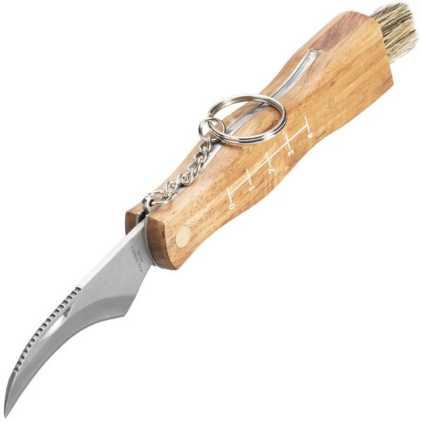 HERBERTZ Mushroom knife + sheath 207510