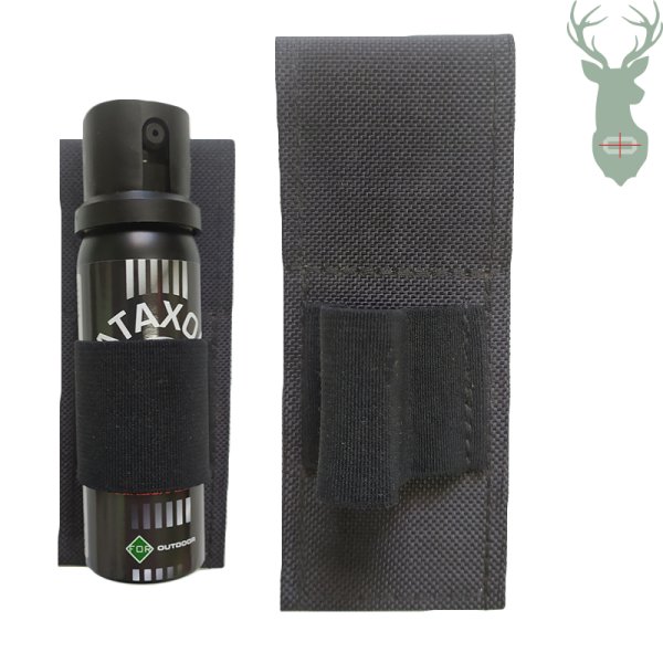 Case for defensive spray II