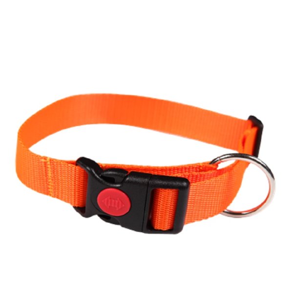 2wolfs FOREST - reflective collar