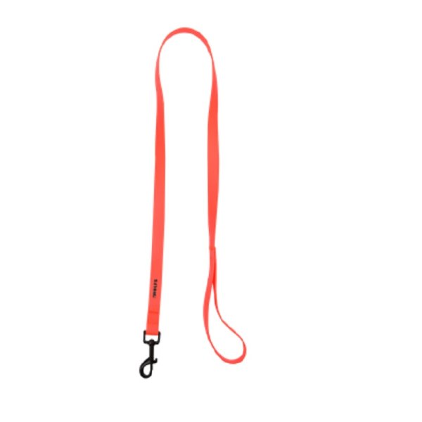 2wolfs DINGO 120 - Leash