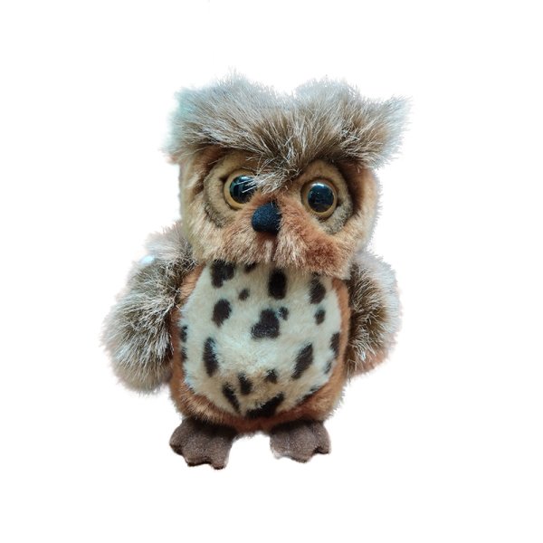Stuffed owl